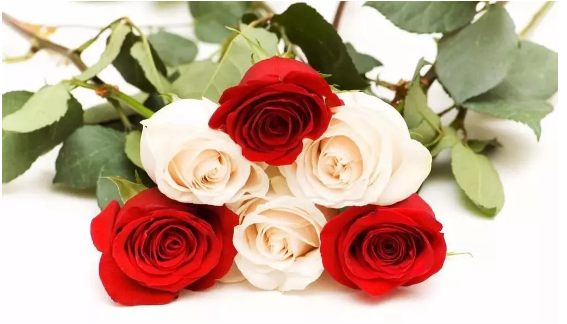 64f59aa6-348a-4adf-a960-90f2c12c3d69.png