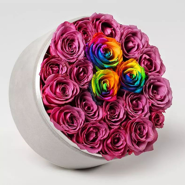 b7a97424-0511-47eb-be87-a30b0c1e6095.png
